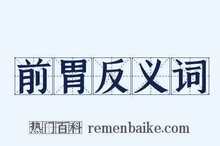 前胃反义词是什么意思的图片